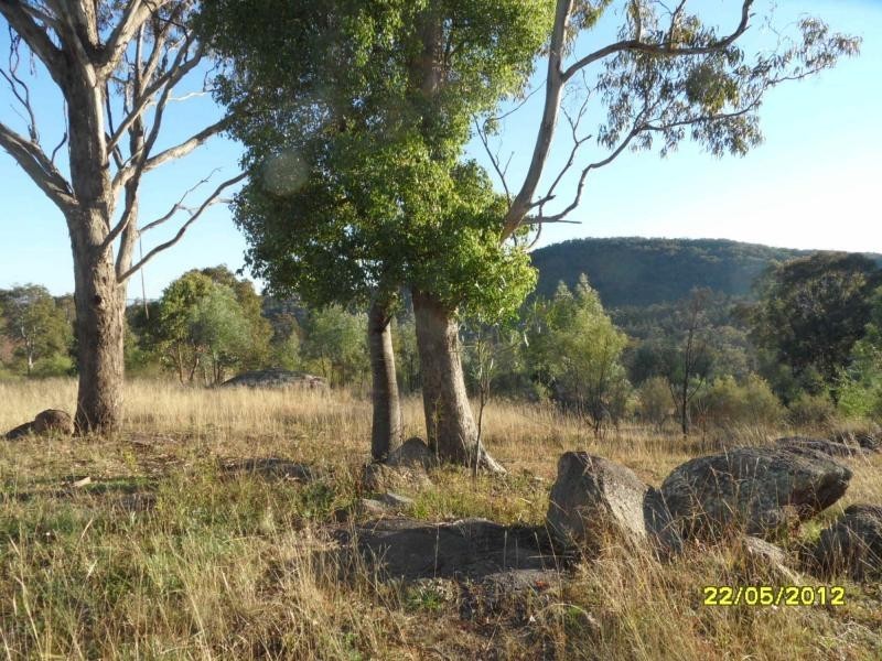 379 Back Creek Road, Severnlea, Stanthorpe QLD 4380
