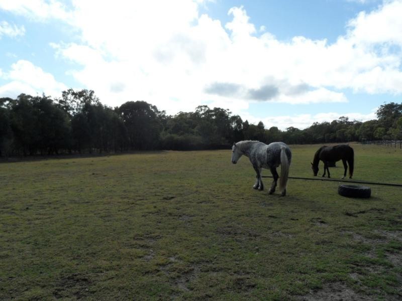 85 Swans Lane, Amiens, Stanthorpe QLD 4380