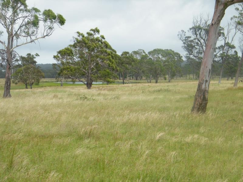 1 Hopgood Lane, The Summit, Stanthorpe QLD 4380