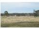38 Hopgood Lane, The Summit, Stanthorpe QLD 4380