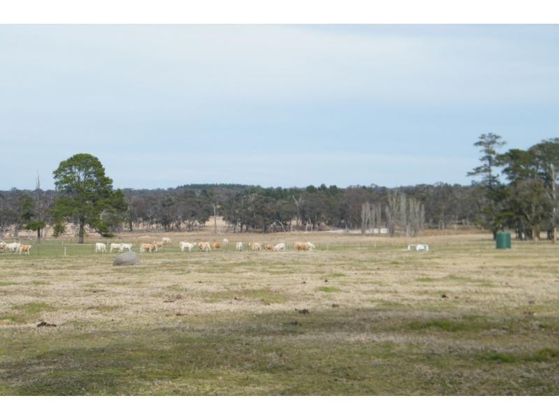 38 Hopgood Lane, The Summit, Stanthorpe QLD 4380