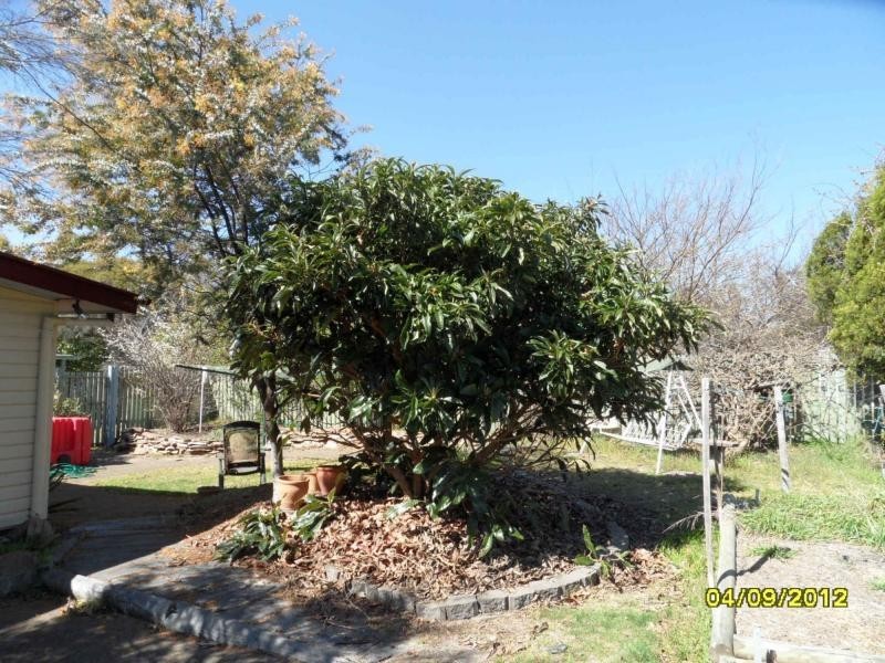 24 Clarke Street, Stanthorpe, Stanthorpe QLD 4380