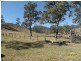 1000 Rivertree Road, Liston, Liston NSW 2372
