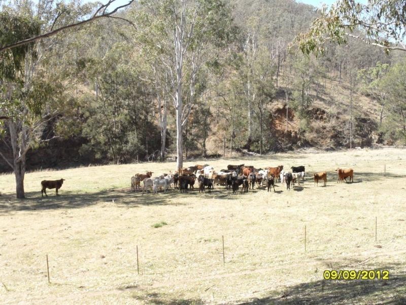 1000 Rivertree Road, Liston, Liston NSW 2372