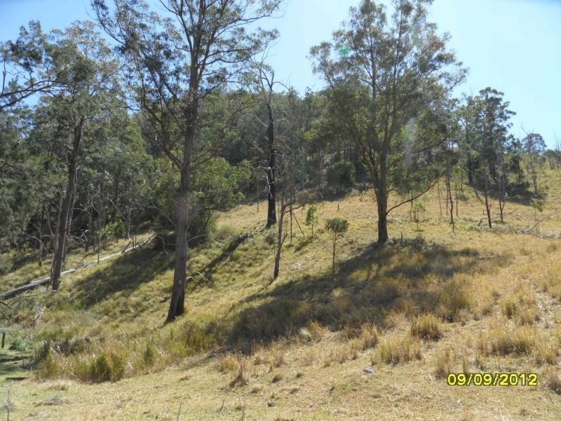 1000 Rivertree Road, Liston, Liston NSW 2372