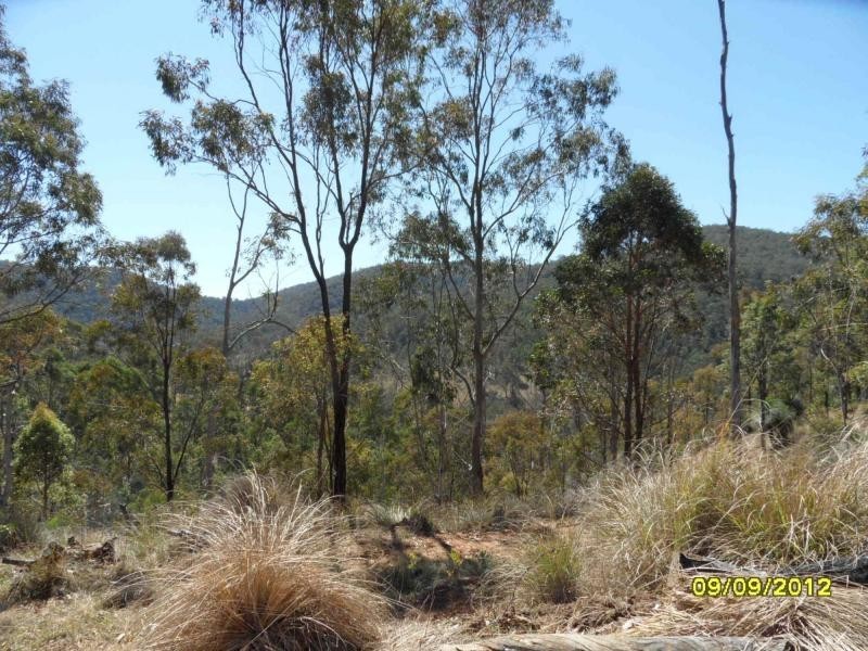 1000 Rivertree Road, Liston, Liston NSW 2372