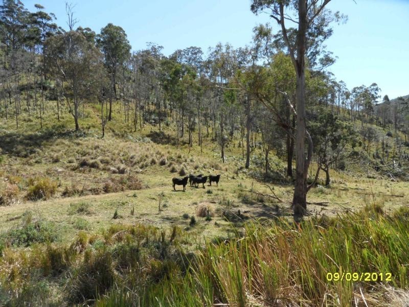 1000 Rivertree Road, Liston, Liston NSW 2372