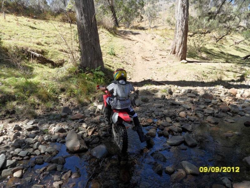 1000 Rivertree Road, Liston, Liston NSW 2372