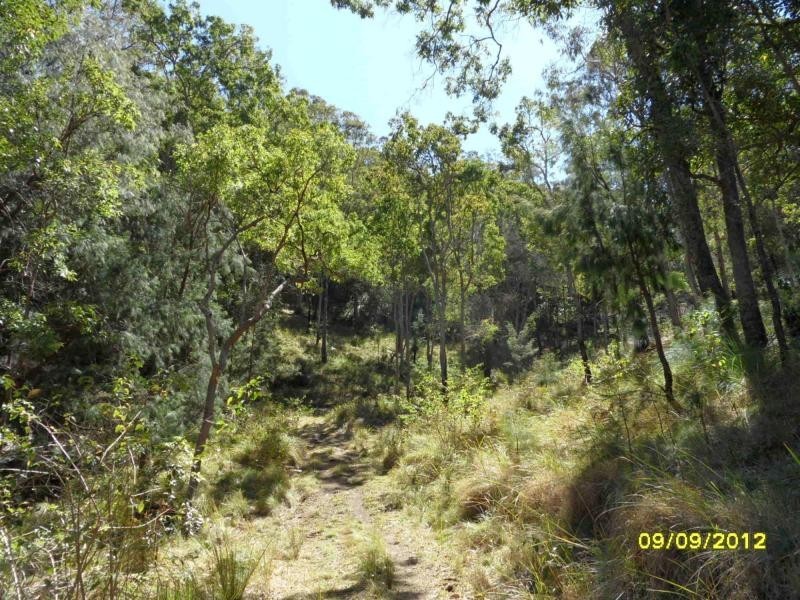 1000 Rivertree Road, Liston, Liston NSW 2372