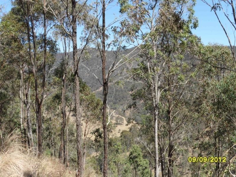 1000 Rivertree Road, Liston, Liston NSW 2372