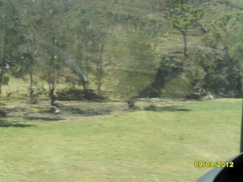 1000 Rivertree Road, Liston, Liston NSW 2372