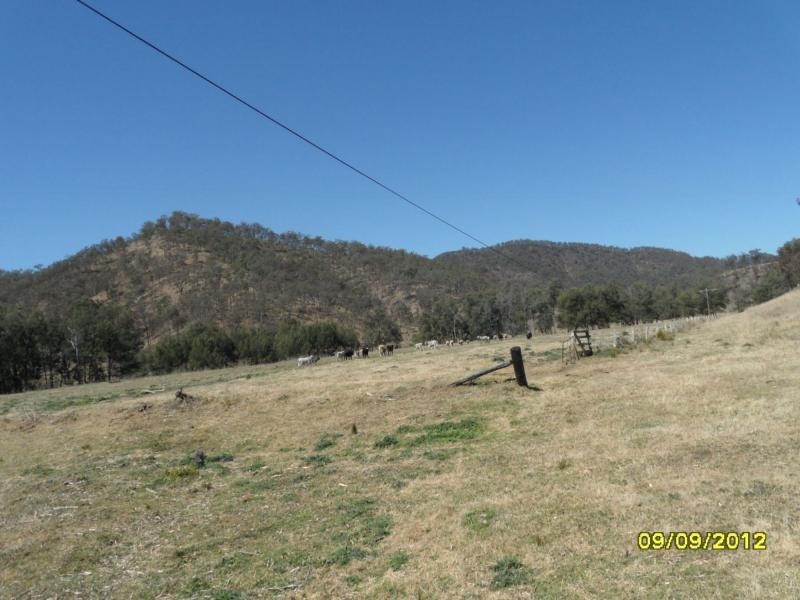 1000 Rivertree Road, Liston, Liston NSW 2372