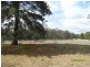 3004a Amiens Road, Thulimbah, Stanthorpe QLD 4380