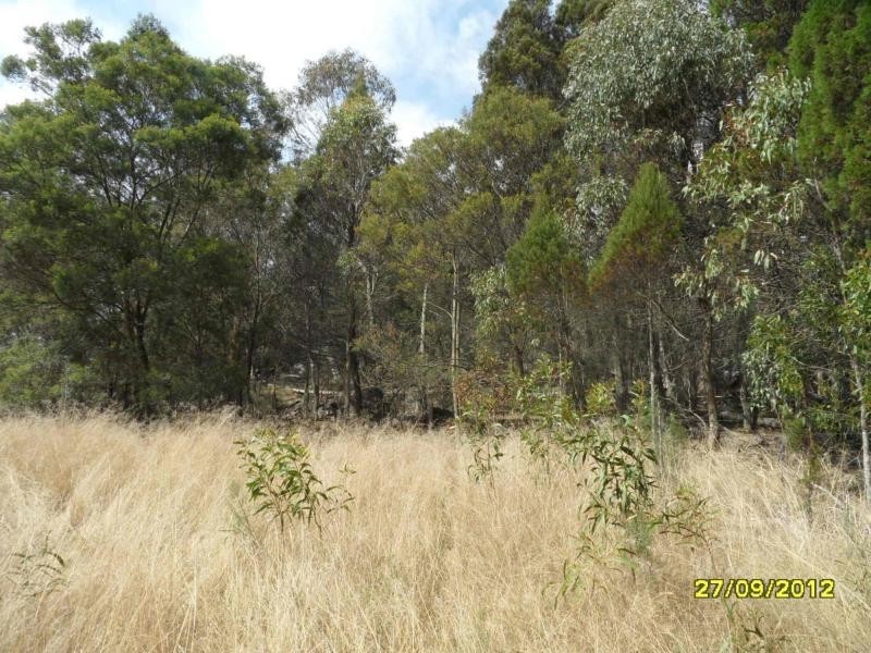 3004a Amiens Road, Thulimbah, Stanthorpe QLD 4380
