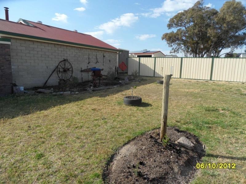 1 Stanton Street, Stanthorpe, Stanthorpe QLD 4380