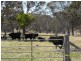 Liston NSW 2372