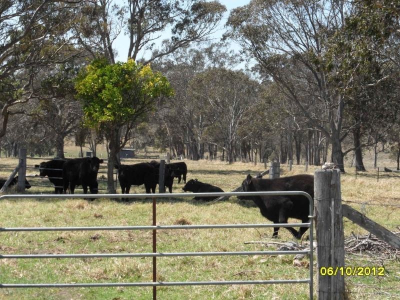 Liston NSW 2372