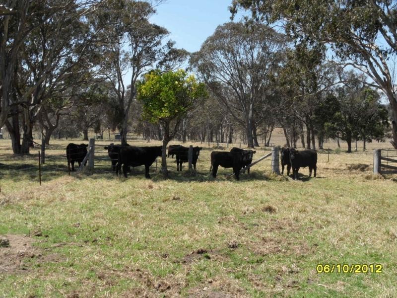 Liston NSW 2372