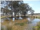 Liston NSW 2372