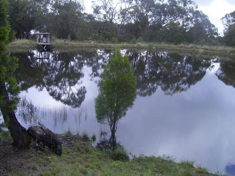 644 Spring Creek Road, Amiens, Stanthorpe QLD 4380