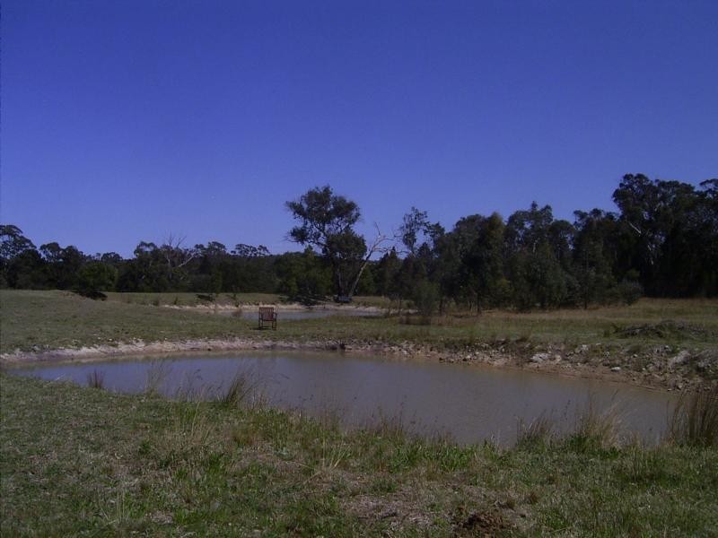 644 Spring Creek Road, Amiens, Stanthorpe QLD 4380