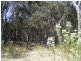 644 Spring Creek Road, Amiens, Stanthorpe QLD 4380