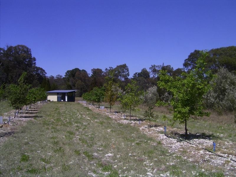 644 Spring Creek Road, Amiens, Stanthorpe QLD 4380