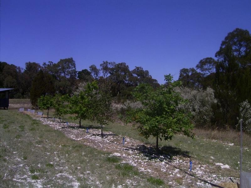 644 Spring Creek Road, Amiens, Stanthorpe QLD 4380