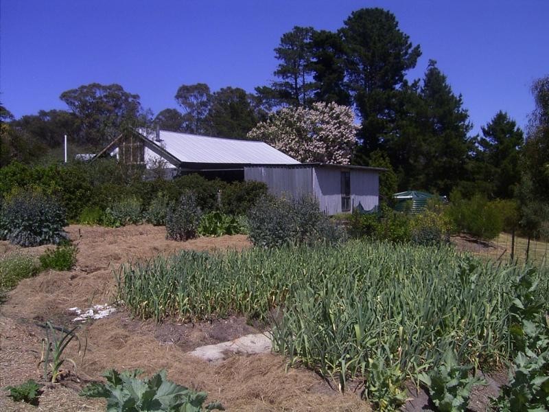 644 Spring Creek Road, Amiens, Stanthorpe QLD 4380