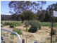 644 Spring Creek Road, Amiens, Stanthorpe QLD 4380