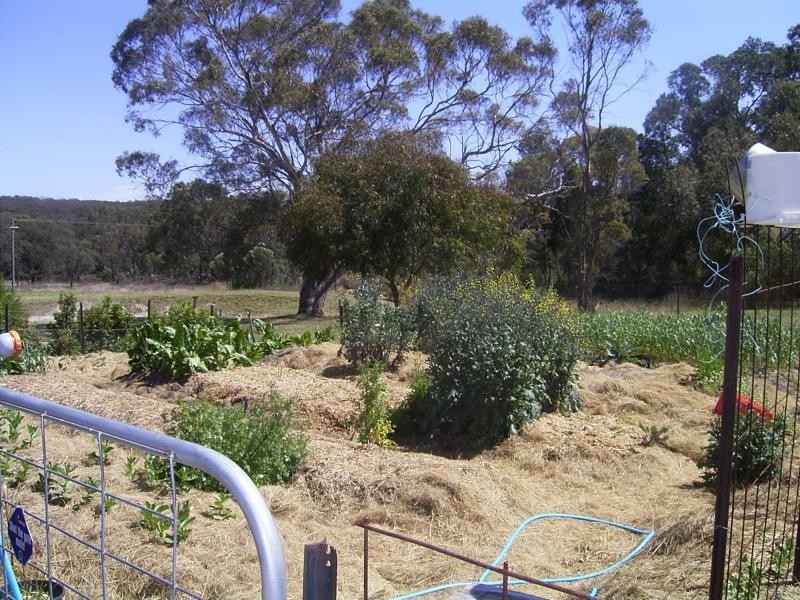 644 Spring Creek Road, Amiens, Stanthorpe QLD 4380