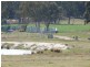 Stanthorpe QLD 4380
