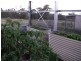 Stanthorpe QLD 4380