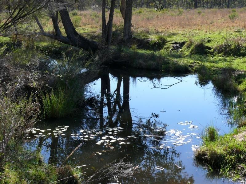 Stanthorpe QLD 4380