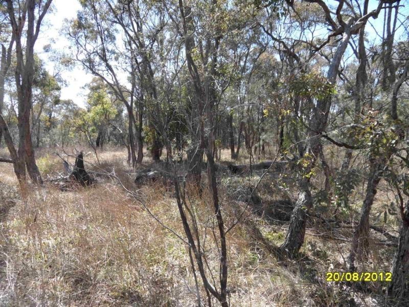 Stanthorpe QLD 4380