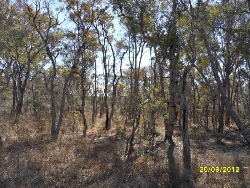 Stanthorpe QLD 4380