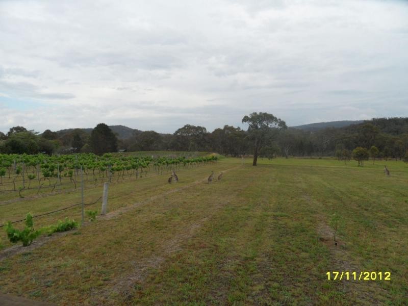 Stanthorpe QLD 4380