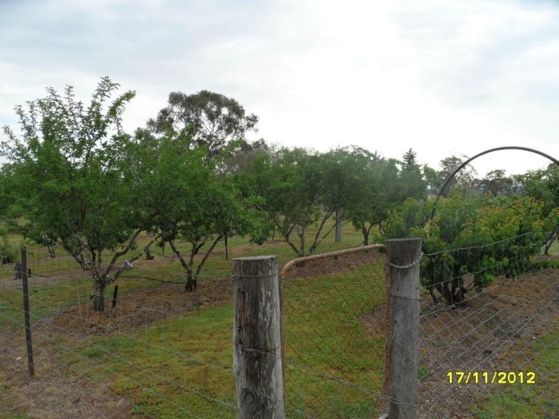 Stanthorpe QLD 4380