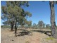 728 Mt Hutton Road, Stanthorpe, Stanthorpe QLD 4380