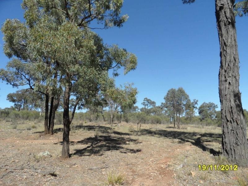 728 Mt Hutton Road, Stanthorpe, Stanthorpe QLD 4380