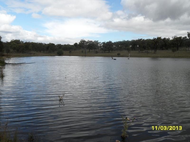 732 Springdale Road, Stanthorpe, Stanthorpe QLD 4380