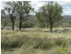 732 Springdale Road, Stanthorpe, Stanthorpe QLD 4380