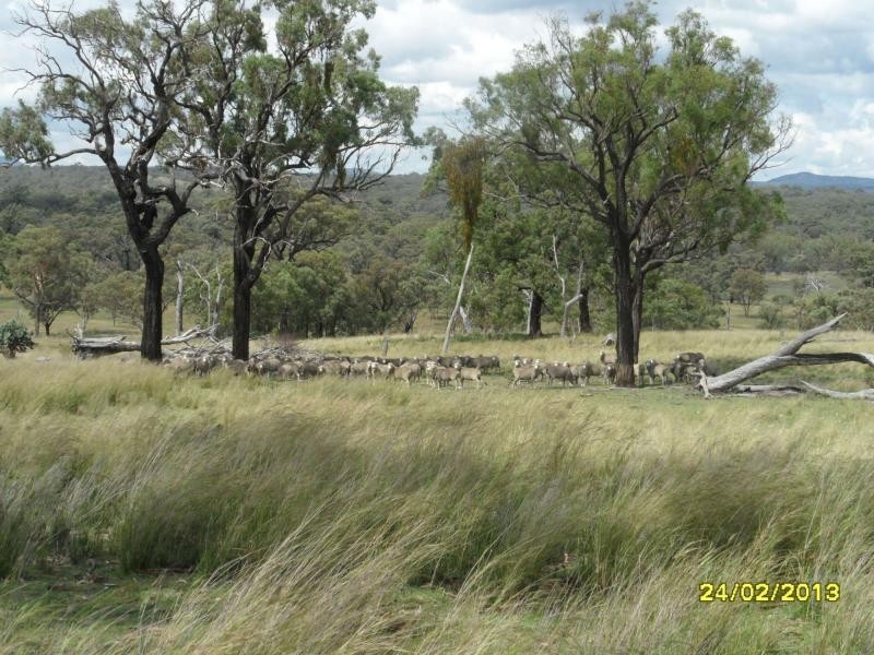 732 Springdale Road, Stanthorpe, Stanthorpe QLD 4380