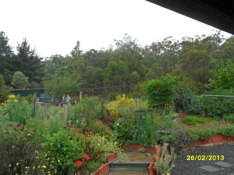 78 Lees Mountain Road, Stanthorpe QLD 4380