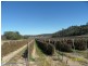 Stanthorpe QLD 4380