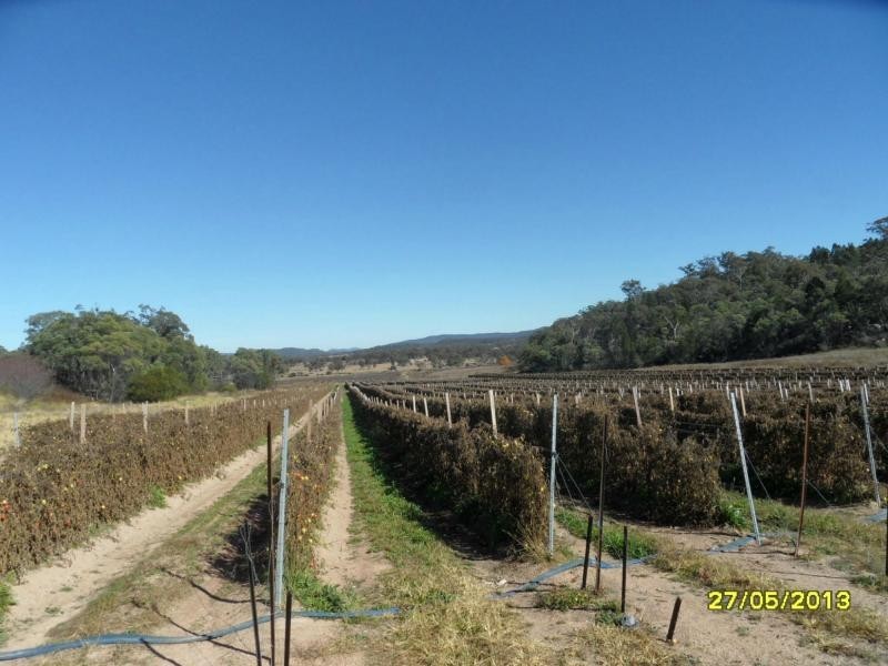 Stanthorpe QLD 4380