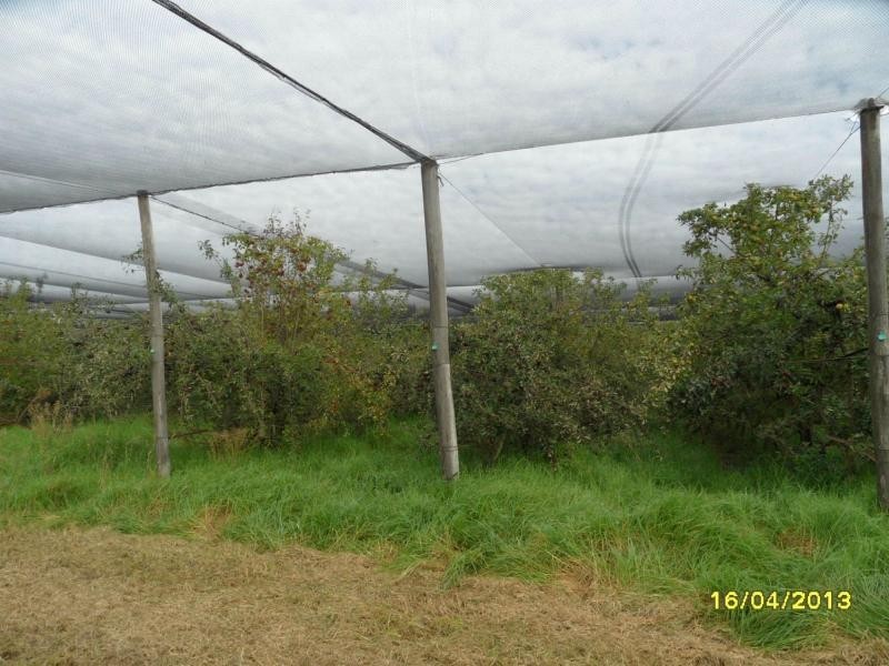 L2 Deveney Lane, The Summit, Stanthorpe QLD 4380