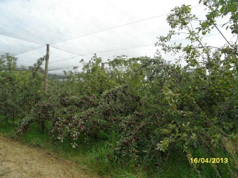 L2 Deveney Lane, The Summit, Stanthorpe QLD 4380