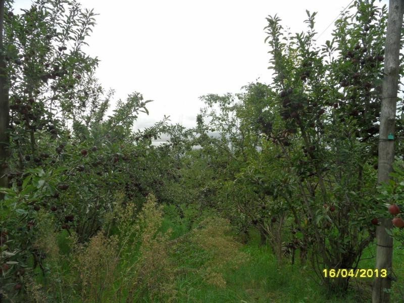 L2 Deveney Lane, The Summit, Stanthorpe QLD 4380