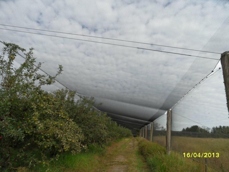 L2 Deveney Lane, The Summit, Stanthorpe QLD 4380